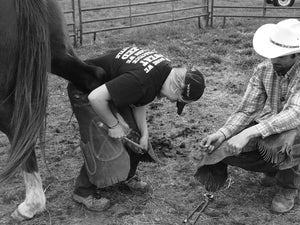 Professional Farrier Course